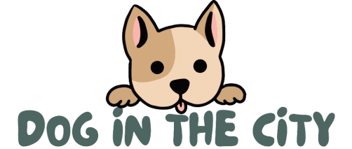 Dog in the city